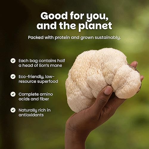 Miniatura 5 de Trío de aventuras picantes de champiñones pimienta de Sichuan, jalapeño de piña y barbacoa Tex-Mex