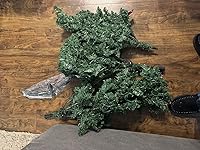 Review Image by Joe Joe