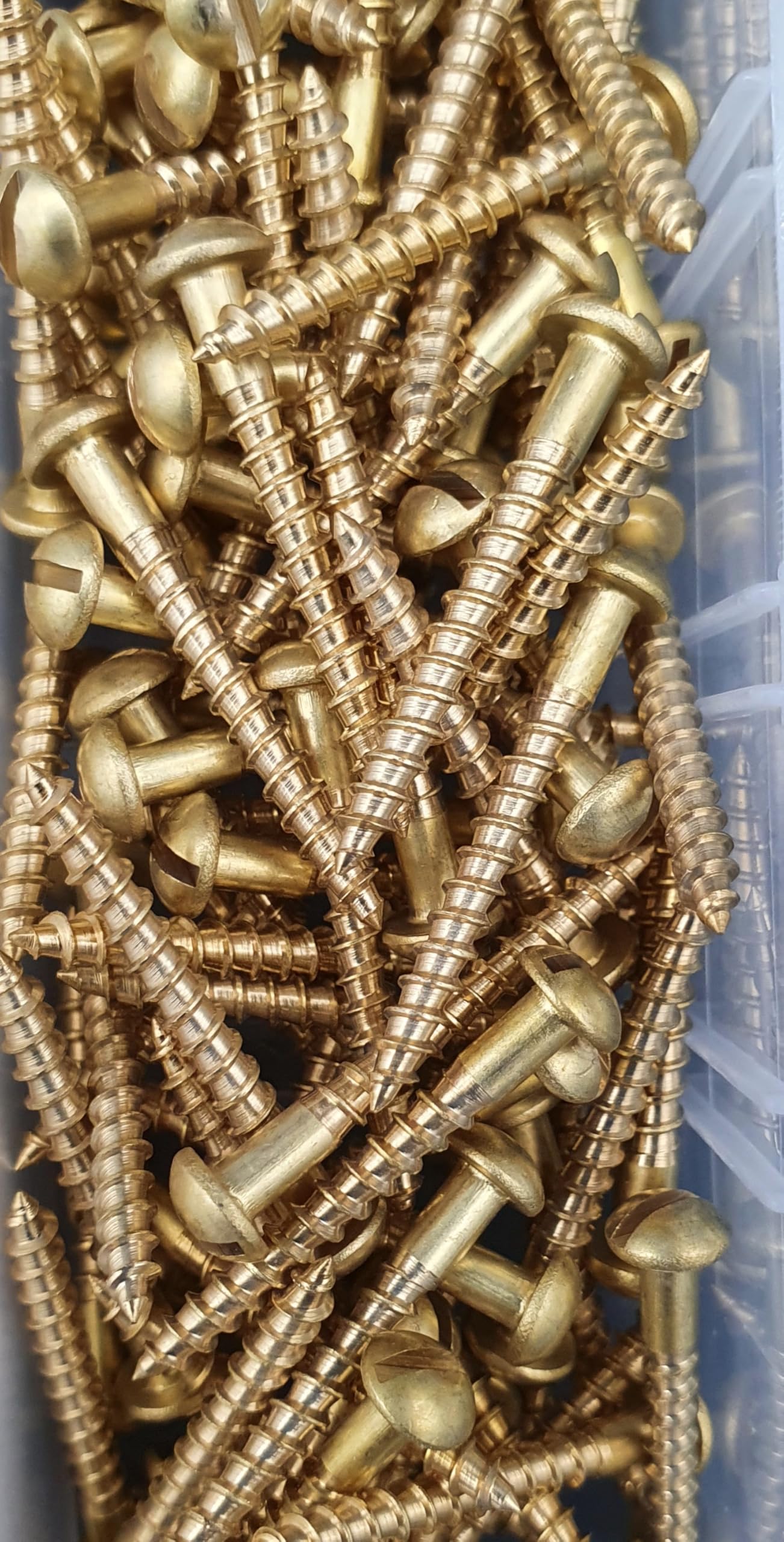 300 tlg. Set | Messing Holzschrauben Sortiment DIN 96 – Halbrundkopf Schlitz – Messing Blank – Dekorative Rundkopfschrauben in stabiler Box 2,5mm und 3mm Durchmesser