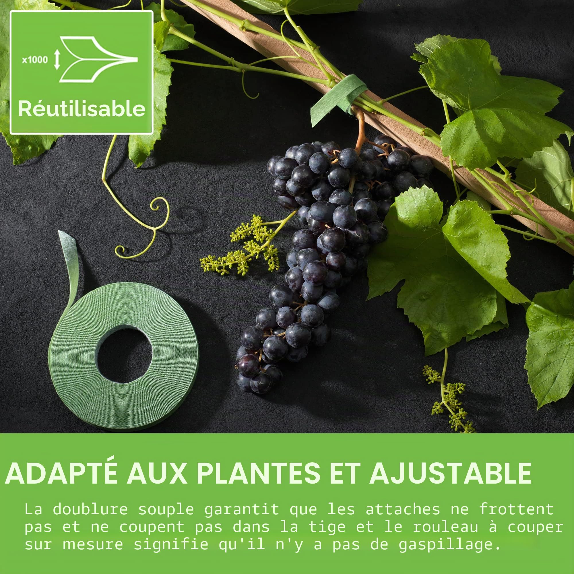 Velcro Marque One-Wrap Ruban Auto-Agrippant Pour Plantes, 12 Mm X 5 M, Vert - Solution Sécurisée Réutilisable Et Respectueuse Des Plantes Pour Sangles D’Attaches Pour Les Arbres Et Plantes