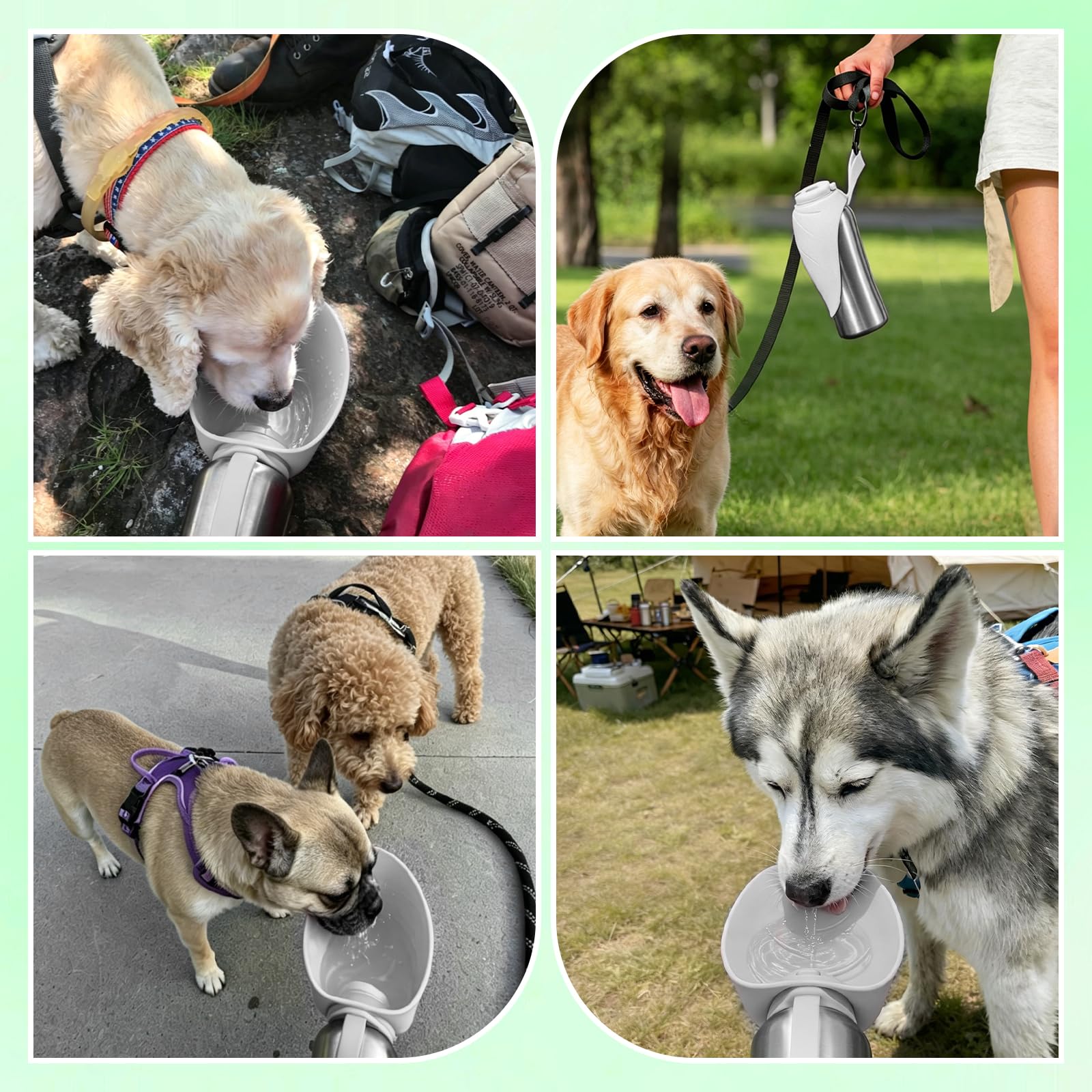Nepfaivy Trinkflasche Hunde für Unterwegs Edelstahl 800ml - Auslaufsichere Hundetrinkflasche für Unterwegs mit Drucktaste, Tragbare Wasserflasche für Alle Hunde zum Reisen, Wandern und Campen, Weiß