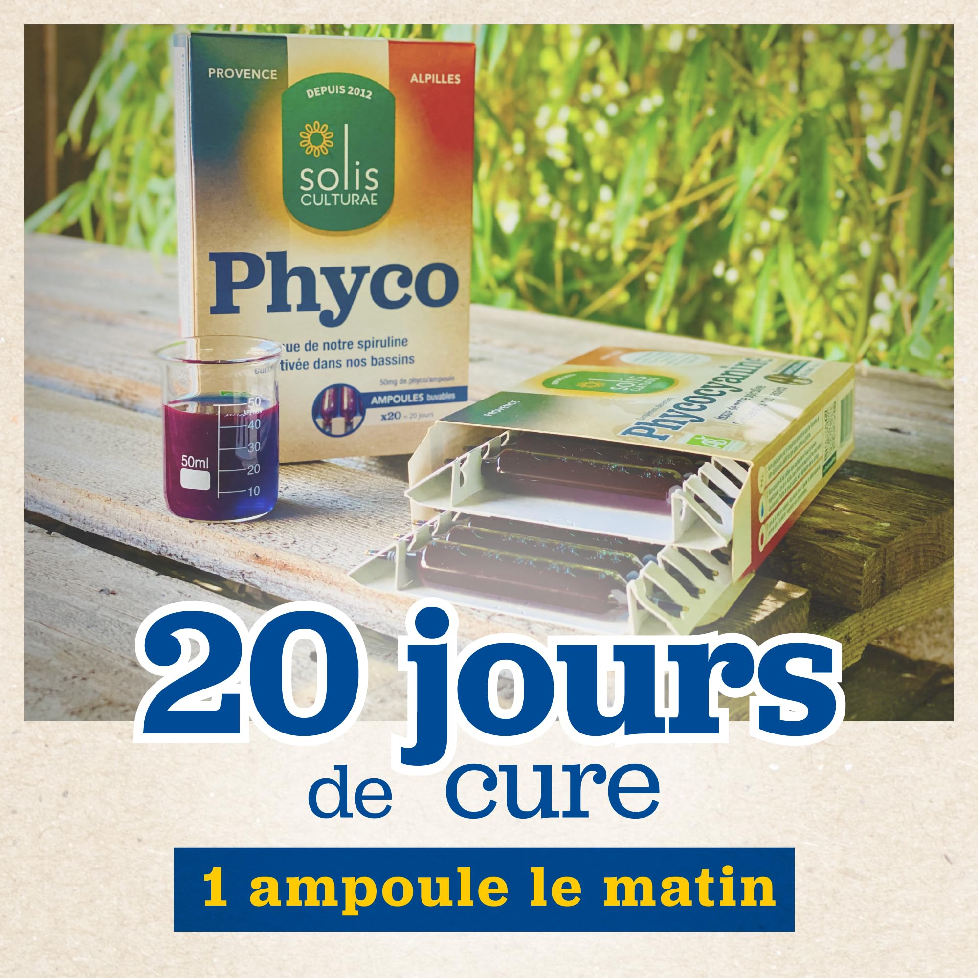 Phycocyanine Bio Française - Immunité & Récupération - 20 Ampoules 5 000 mg/l - Spiruline Paysanne Provence - Solis Culturae