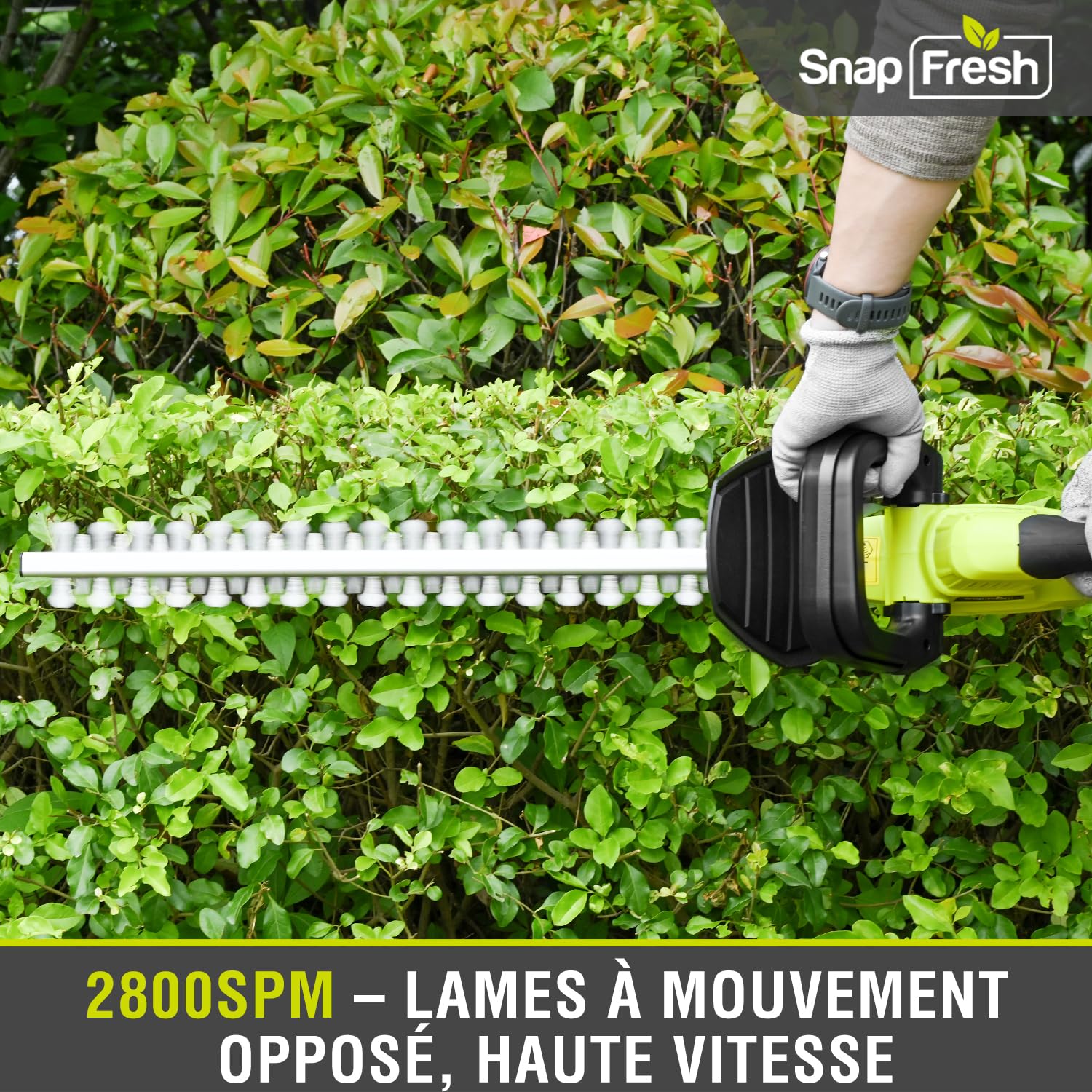 SnapFresh Taille Haie Batterie sans Fil 20V, Léger 2,15 kg, Longueur de Coupe 55 cm, Ø 14 mm, Double Action 2800 SPM, Faible Vibration, Taille-Haie Électrique pour Jardin Haies Arbustes Buissons