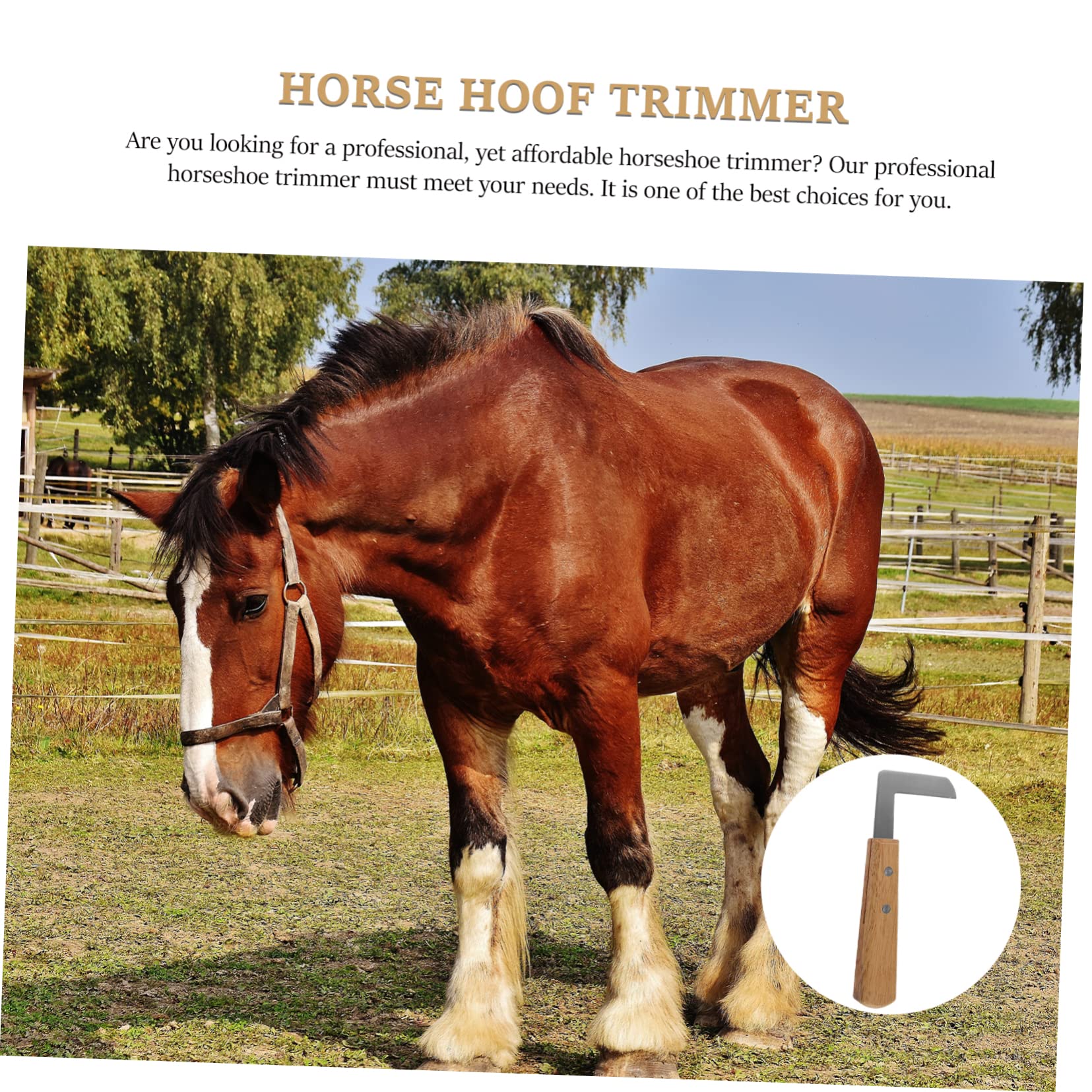 Happyyami 3stücke Tierhuftrimmer Für Rinder Pferde Schafe Und Esel Und Langlebiger Hufschneider Mit Ergonomischem Griff Für Präzises Trimmen Und Schnelle Reparatur Von Hufen