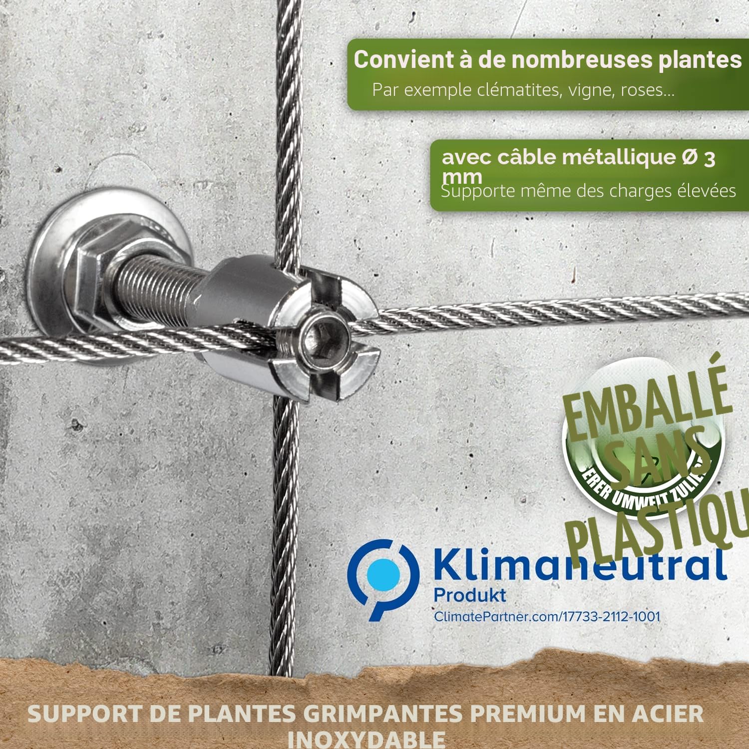 Support pour Plantes grimpantes, kit Complet en Acier Inoxydable avec Supports muraux et Corde de 3 mm (4 Supports, 6m de Corde)