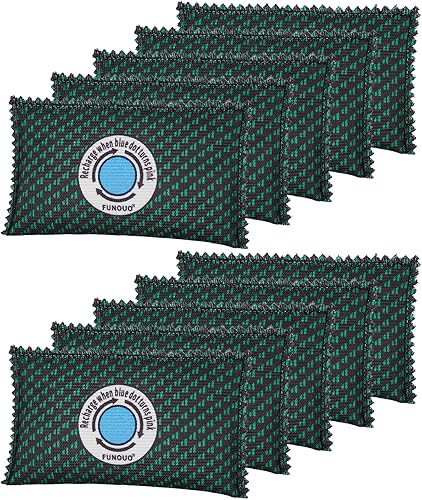 Paquete de 10 desecantes recargables de 3.53 oz, absorbentes de humedad para almacenamiento, bolsa de absorción de humedad, bolsa deshumidificadora