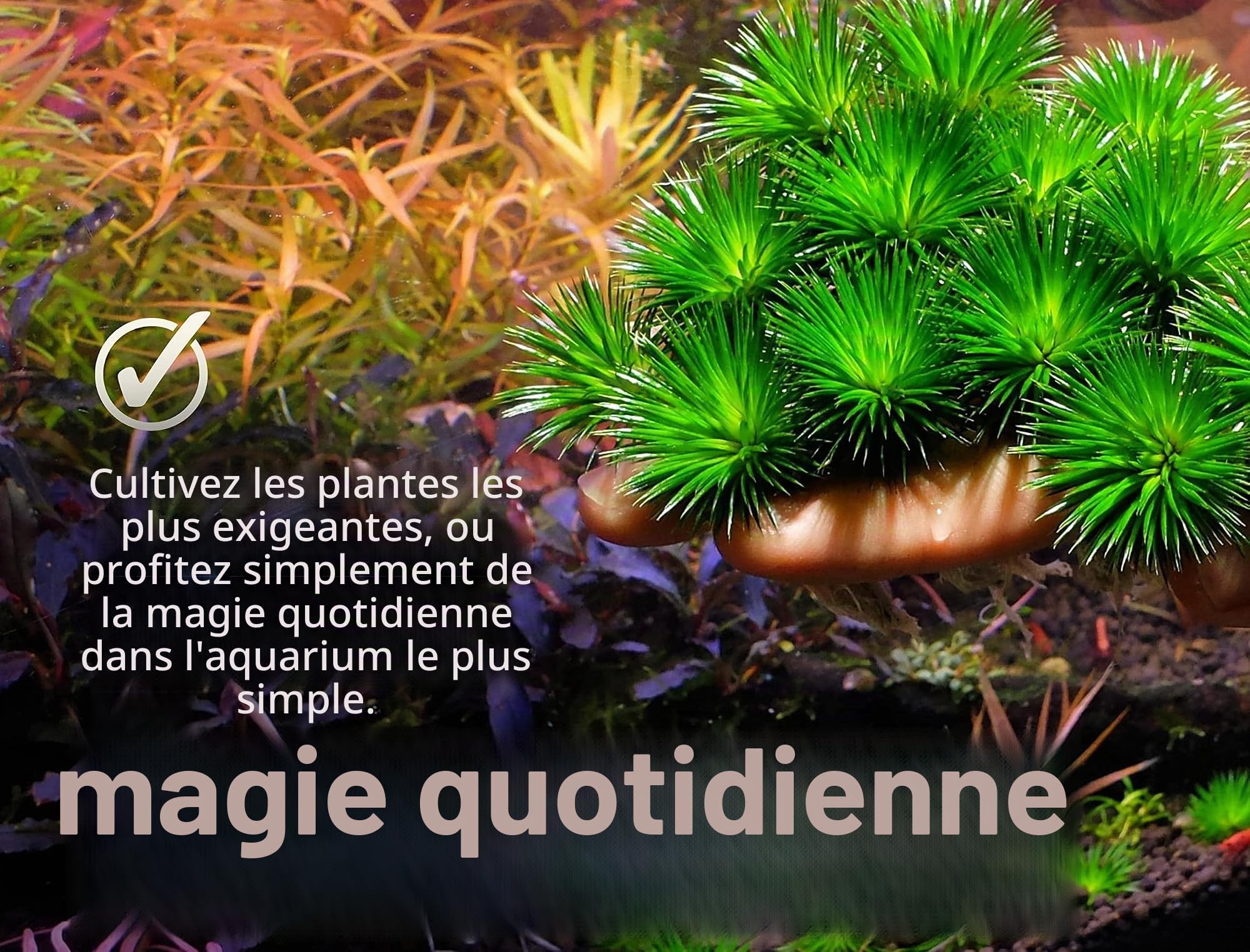 2Hr Aquarist Engrais liquide aquarium all in one APT E/Estimative Index in a bottle (1000ml)