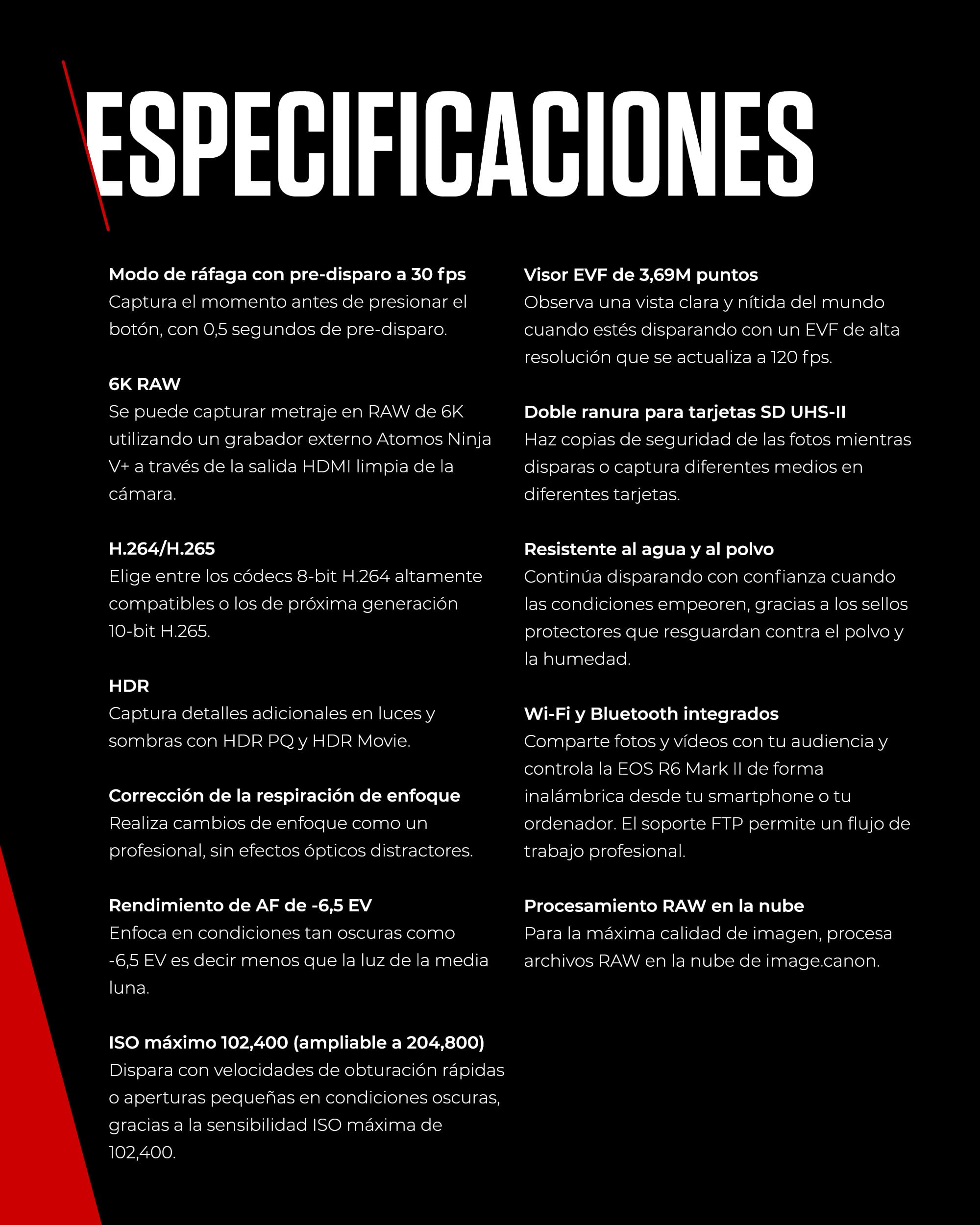 Canon EOS R6 Mark II Full Frame Mirrorless Body Solo + 2X Baterías (Kit de Batería Adicional) | 24,2 megapíxeles, 4K 60p, IS de hasta 8 Pasos y Enfoque automático Dual Pixel CMOS Auto Focus II