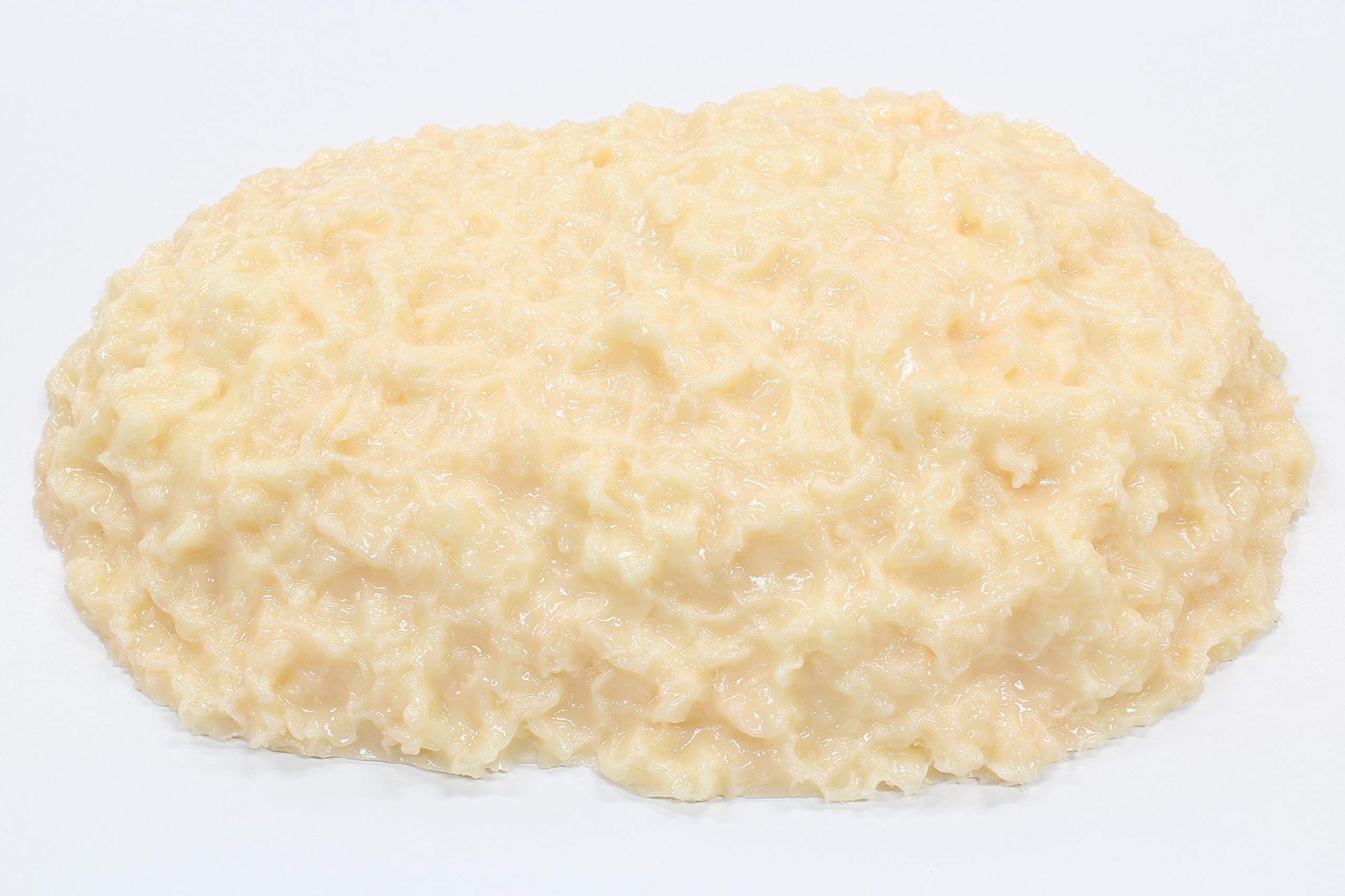 Amazon.co.jp: 脂肪サンプル 脂肪模型 食品サンプル 実物重量