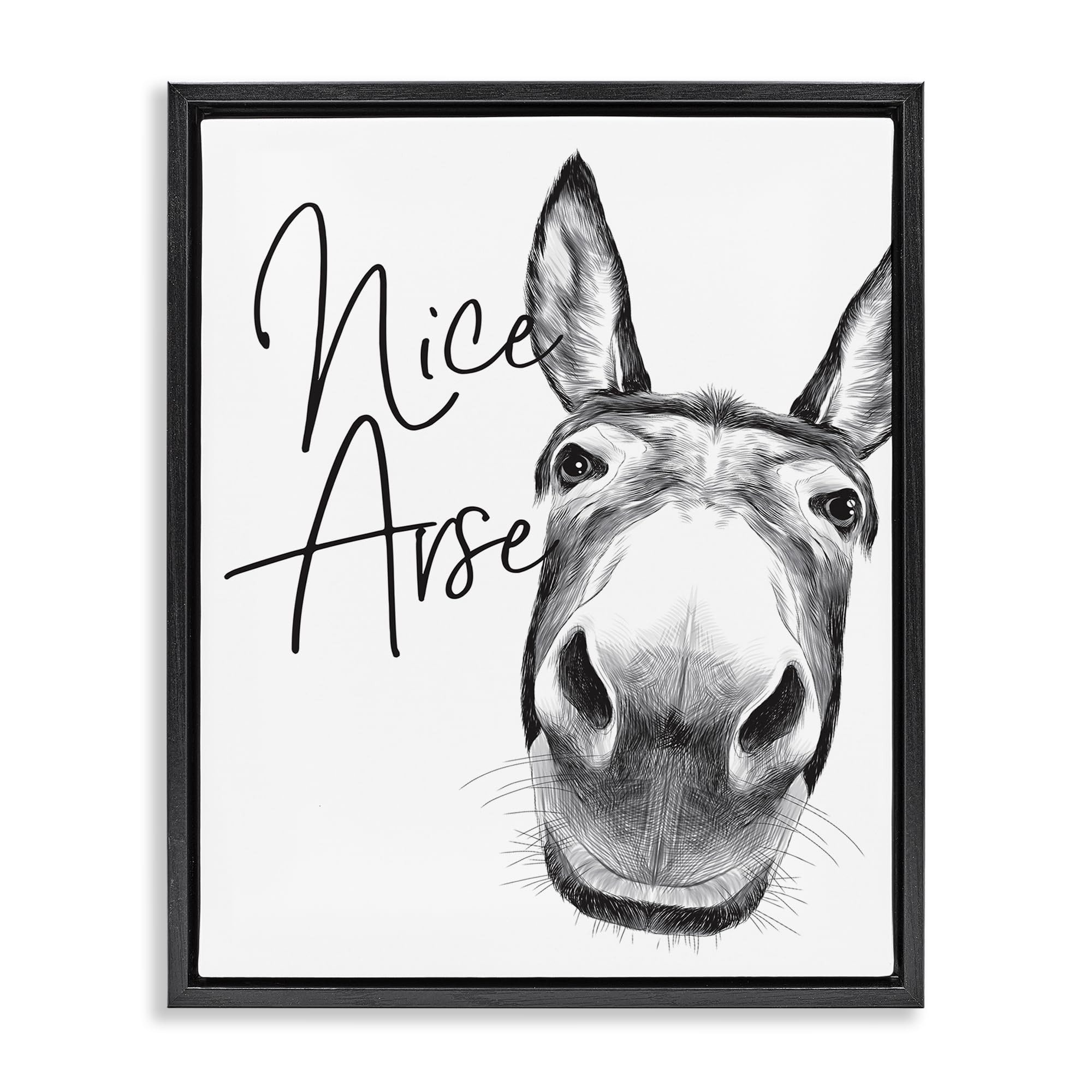Donkey Bathroom Humor Comic, 25 x 31 Inch Canvas in Floater Frame