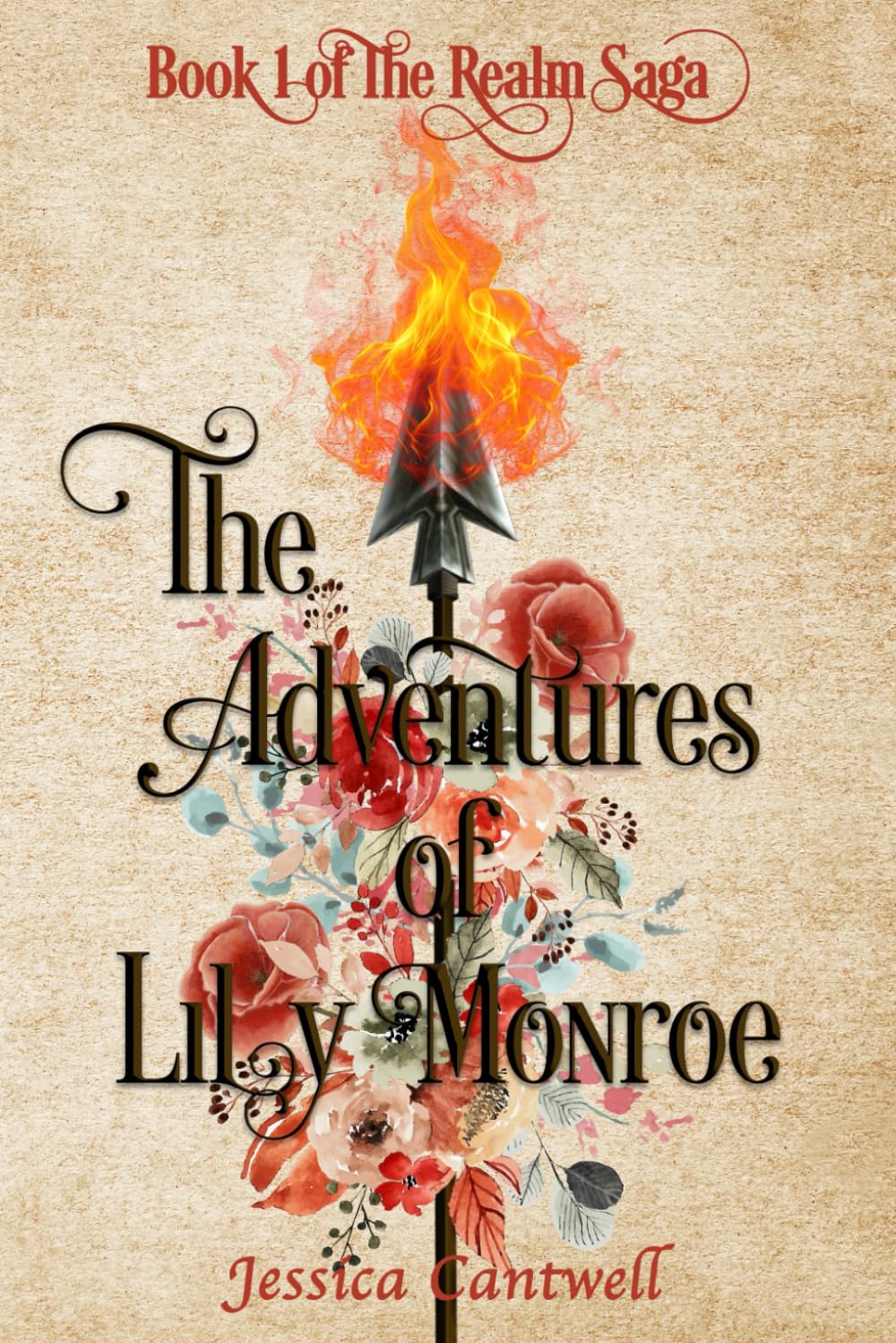 Realm: The Adventures of Lily Monroe (The Realm Saga)