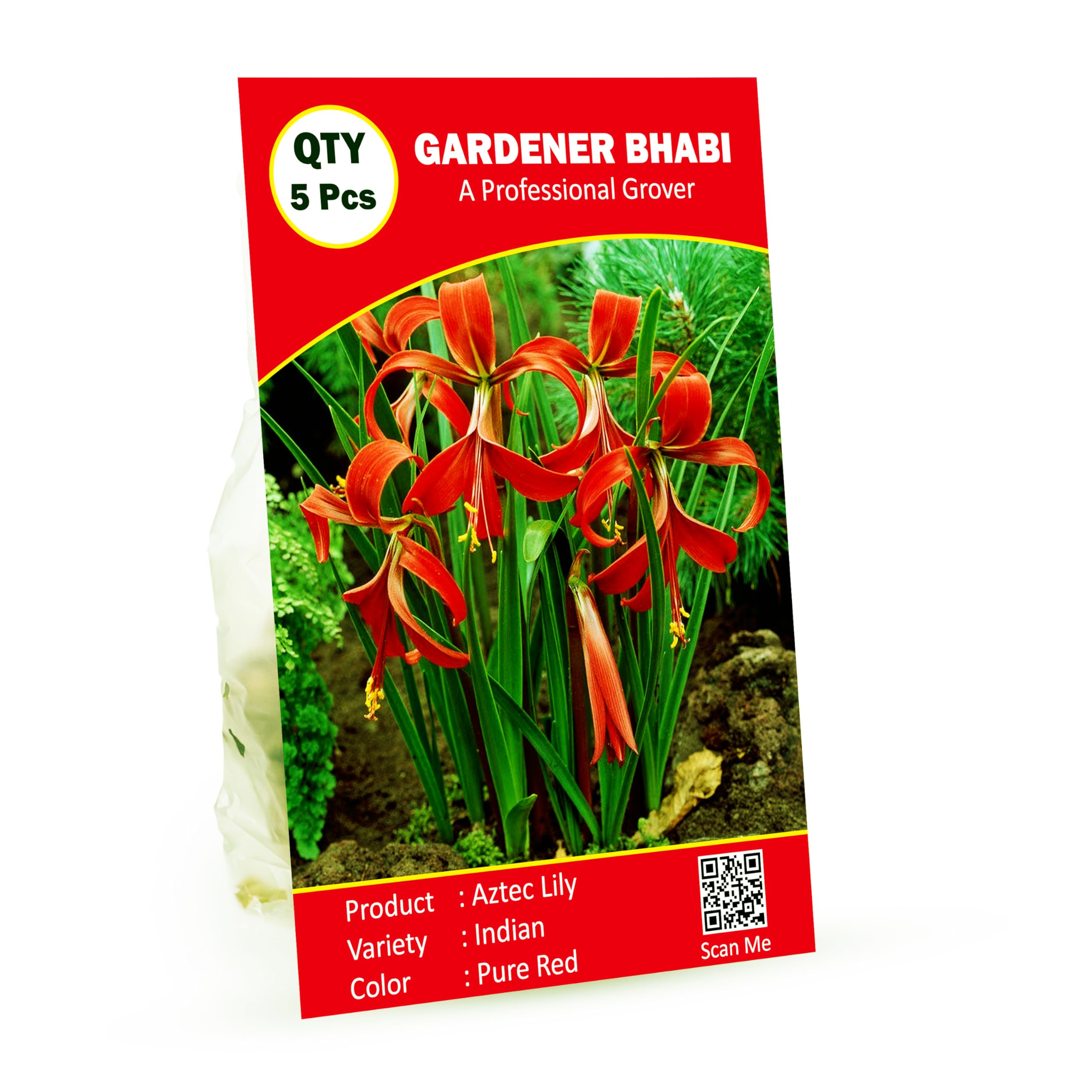 See full amazon price history chart for Gardener Bhabi Aztec Lily - Jacobean Lily All Season Flower Bulbs Ready to Grow Rare Variety - Pack of 5 Bulbs Gardener Bhabi Aztec Lily - Jacobean Lily All Season Flower Bulbs Ready to Grow Rare Variety - Pack of 5 Bulbs (B0D6C153HG) Amazon Price History, Amazon Price Tracker