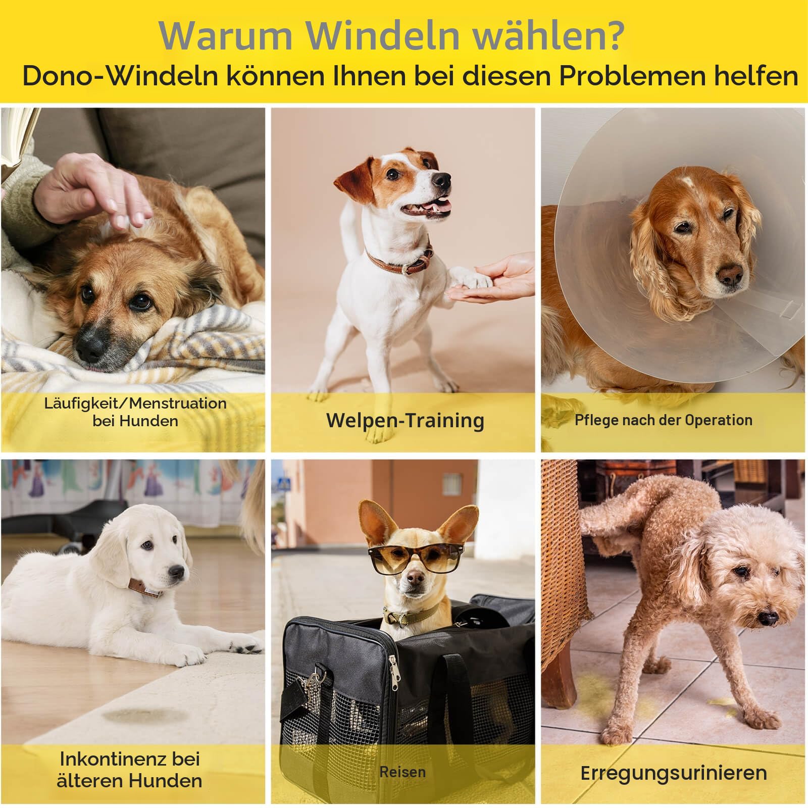 Dono Hundewindeln - 24 Stück, Windeln für weibliche Hunde, zum Anziehen, geeignet für Inkontinenz, Training, Reisen