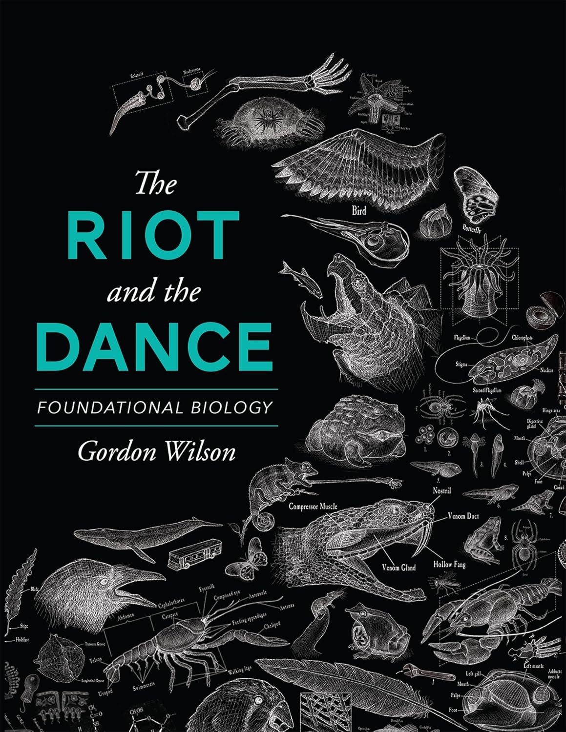 The Riot and the Dance: Foundational Biology      Paperback – January 20, 2015
