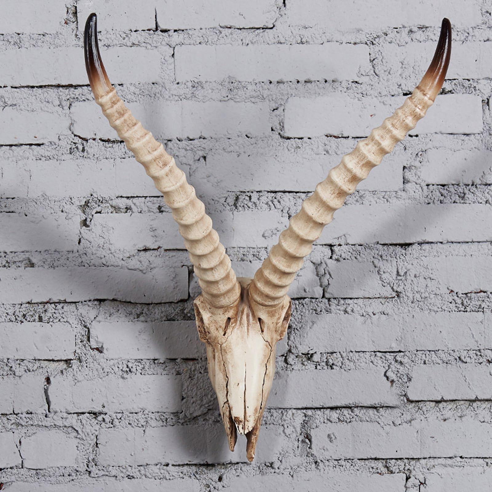 Decorazione da parete in resina a forma di teschi di animali, decorazione da parete in stile occidentale per la casa, 64 x 46 cm