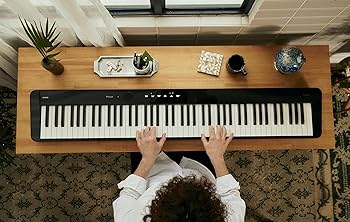 Amazon.com: Casio Privia PX-S5000 Portable Digital Piano with 88