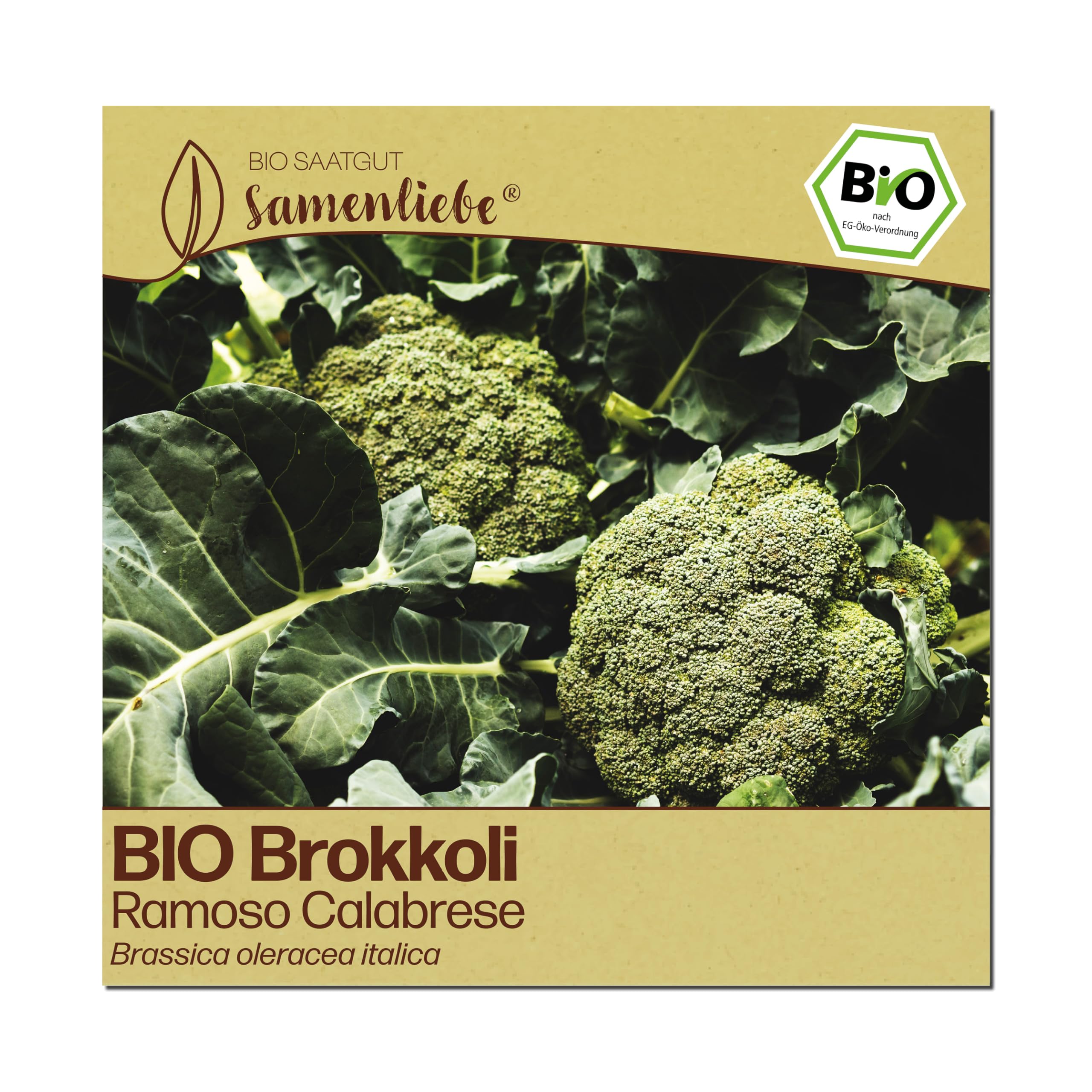 Samenliebe BIO Brokkoli Samen | italienischer Calabrese Brokkoli - Ramoso - winterhart & verzweigt - samenfestes BIO Saatgut