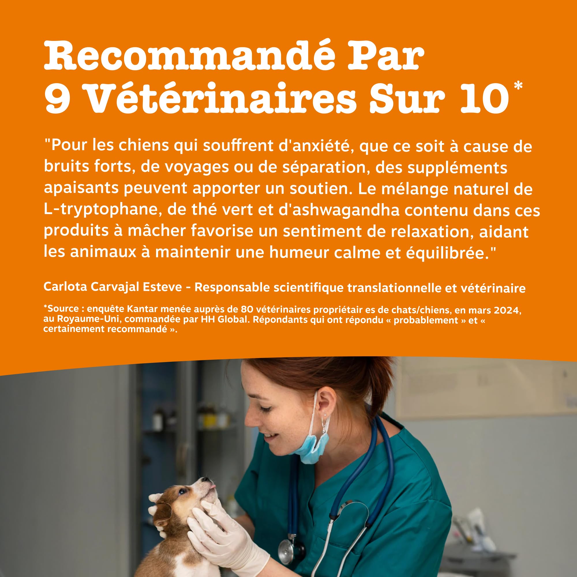 Zesty Paws Bouchées Relaxantes Chien | Calme, Détente et Bien-être | Contre Le Stress, Hyperactivité et Anxiété de Séparation | Thé Vert, Ashwagandha, L-Tryptophane | Usage Quotidien | 90 Bouchées