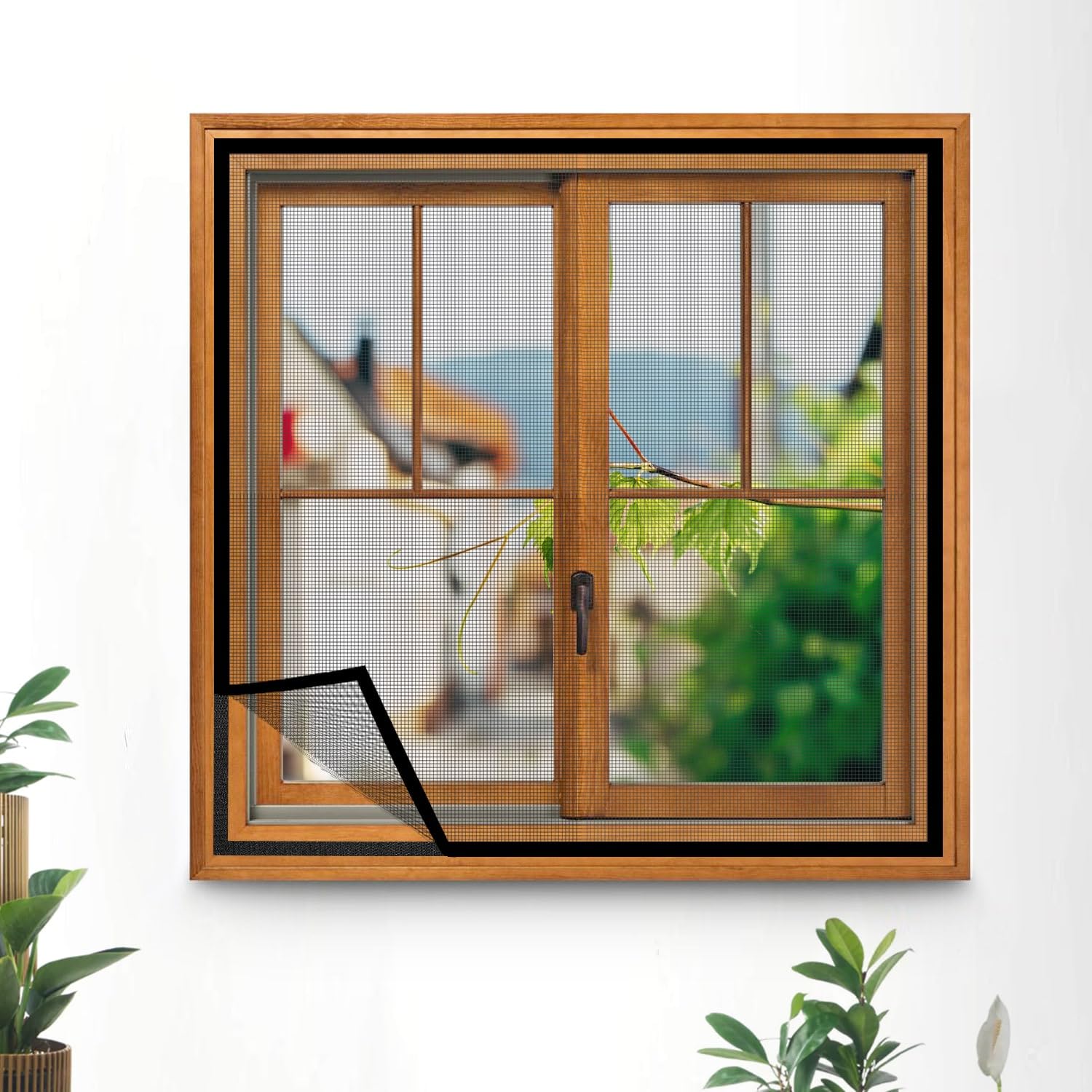 See full amazon price history chart for Wild Accessories Window Mosquito Net (Size-150x160 cms/59 * 63 Inches/4.92 * 5.25 Feet, Color-Grey), 120 GSM Fiberglass Insect Net with Strong Self Adhesive Hook and Loop Tape Wild Accessories Window Mosquito Net (Size-150x160 cms/59 * 63 Inches/4.92 * 5.25 Feet, Color-Grey), 120 GSM Fiberglass Insect Net with Strong Self Adhesive Hook and Loop Tape (B0CGQ69R79) Amazon Price History, Amazon Price Tracker