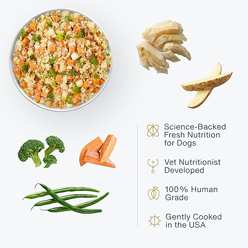 Miniatura 46 de JustFoodForDogs Alimento fresco congelado para perros, comida completa o alimento para perros, receta de comida para perros de grado humano