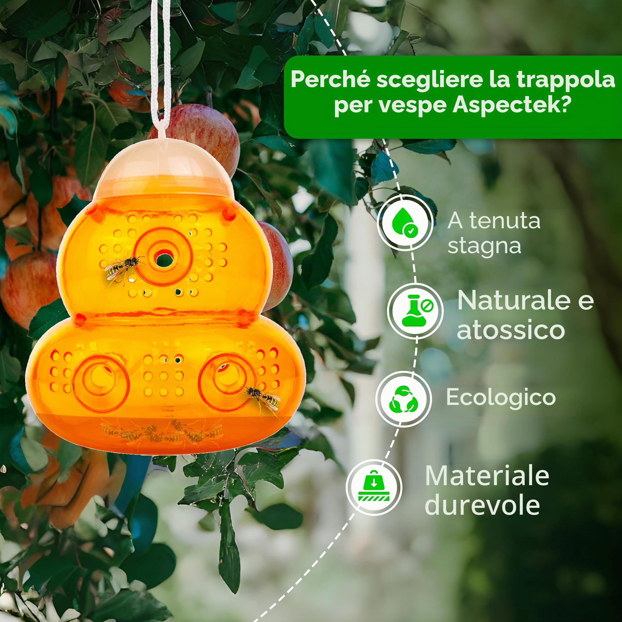 ASPECTEK Trappola per Vespe e Calabroni (2 Pezzi) – Trappola Selettiva da Esterno con Design Salva Api – Riutilizzabile per Giardino, Patio e Casa