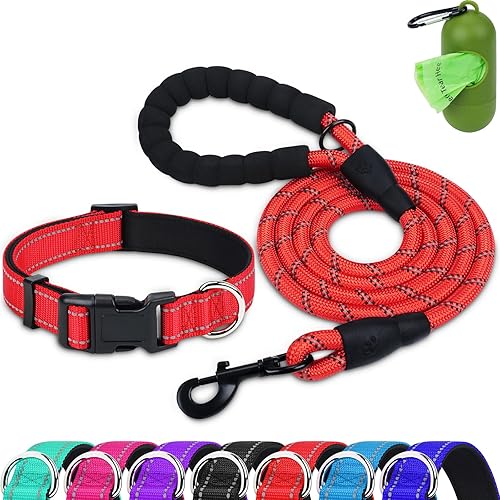 Dynmeow Juego de collar y correa reflectante para perro, correa de cuerda de escalada fuerte de 6 pies con mango acolchado, collar ajustable para