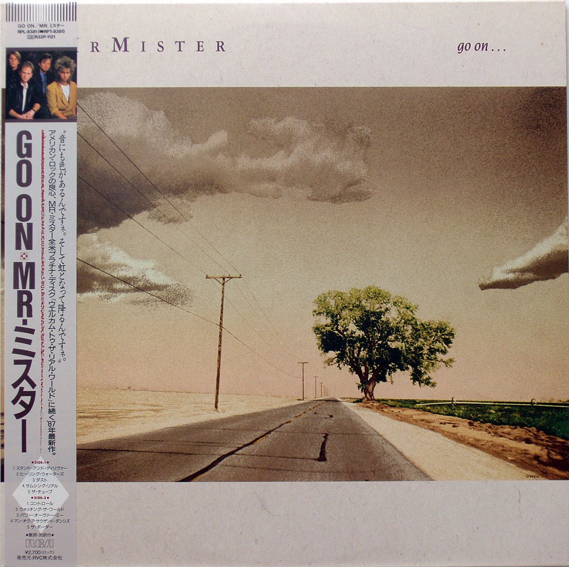 mr. mister go on ...
