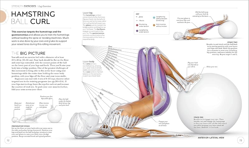 Science of Strength Training: Understand the anatomy and physiology to transform your body (The Science of Fitness) image 5