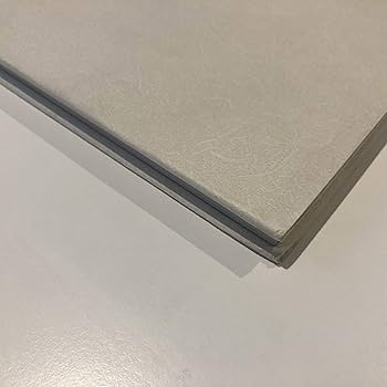 Amazon.co.jp: 九龍城砦 : 本