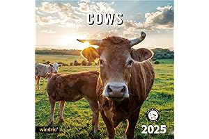 2025 Wall Calendar,Calendar 2025, November 2024 - December 2025, Wall Calendar Cows