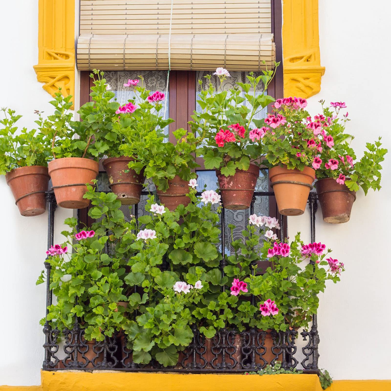 3 Anelli Porta Piante In Metallo Nero 20,5 Cm | Ganci A Muro Per Vasi Appendere | Supporto Per Fiori Interni Ed Esterni | Decorazione Balcone Giardino