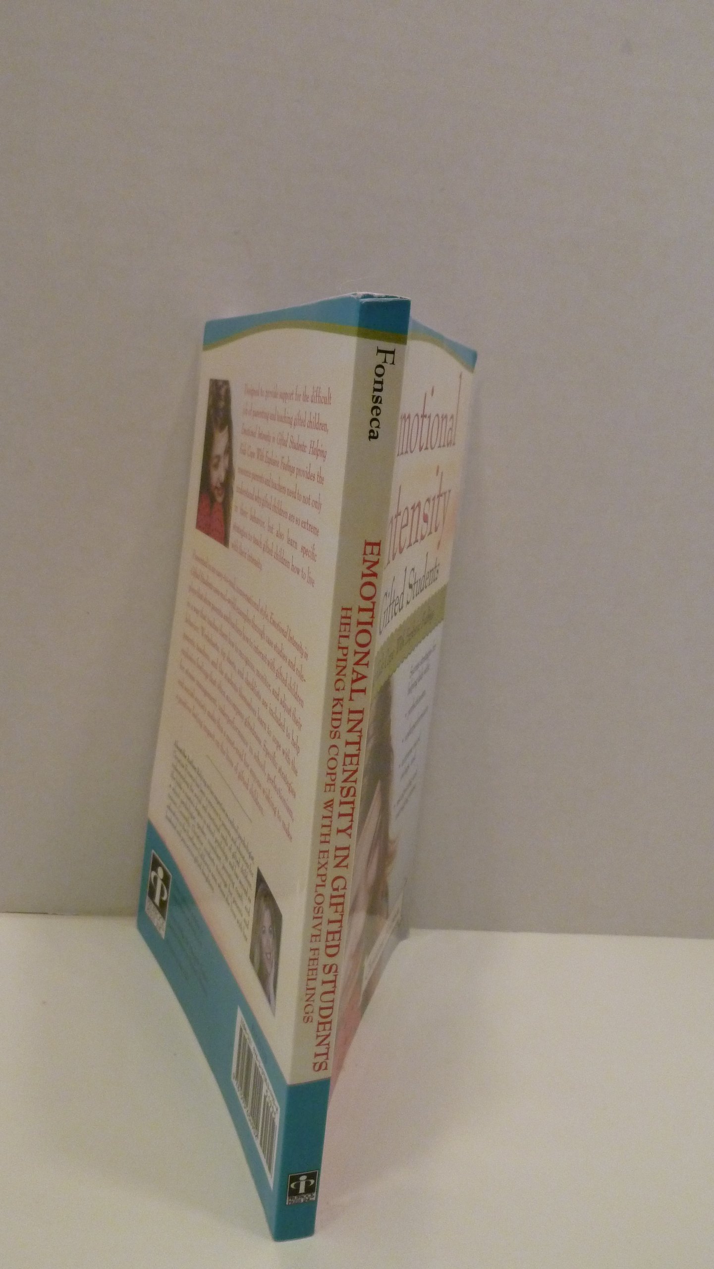 Emotional Intensity in Gifted Students: Helping Kids Cope With Explosive Feelings - Image 2