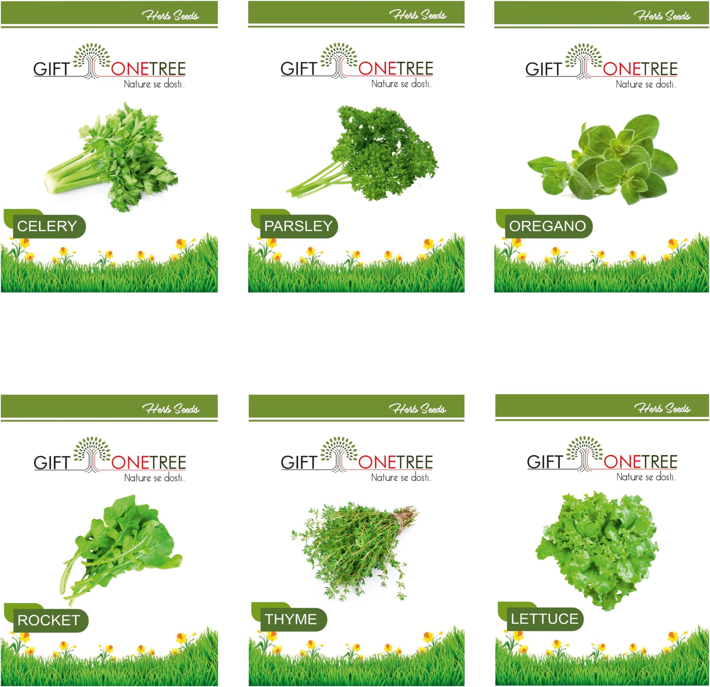 Easy to Grow 6 Herb Seeds Combo | Celery, Oregano, Thyme, Lettuce, Parsley And Rocket | Best Gift for Gardeners and Plant Lovers (Herb Seeds Combo)