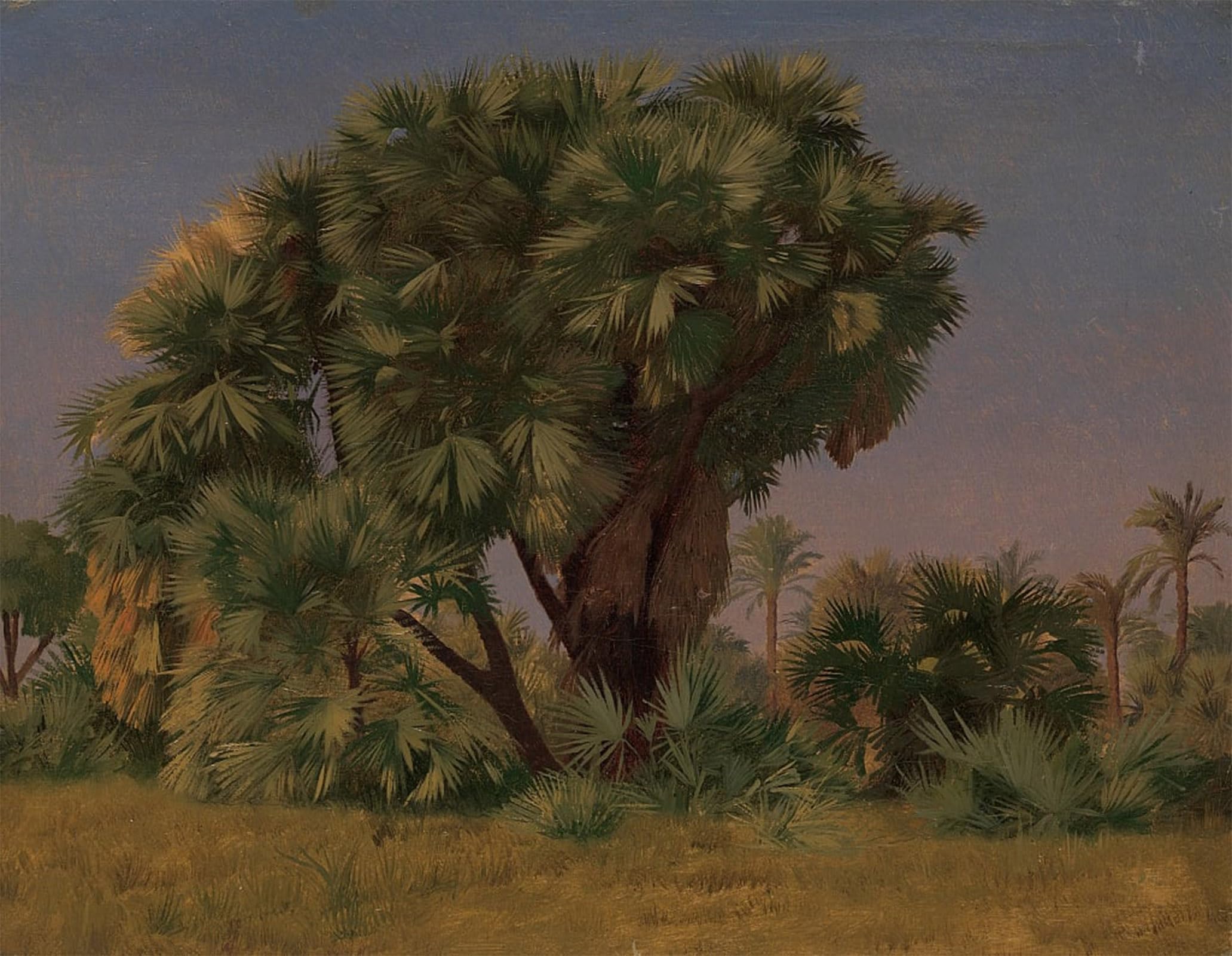 ARTXLXXBN Famous Painting Canvas Artwork Graffiti Print Study Trees Probably by Jean Leon Gerome Portrait Canvas Image for Home Decor 60x90cm