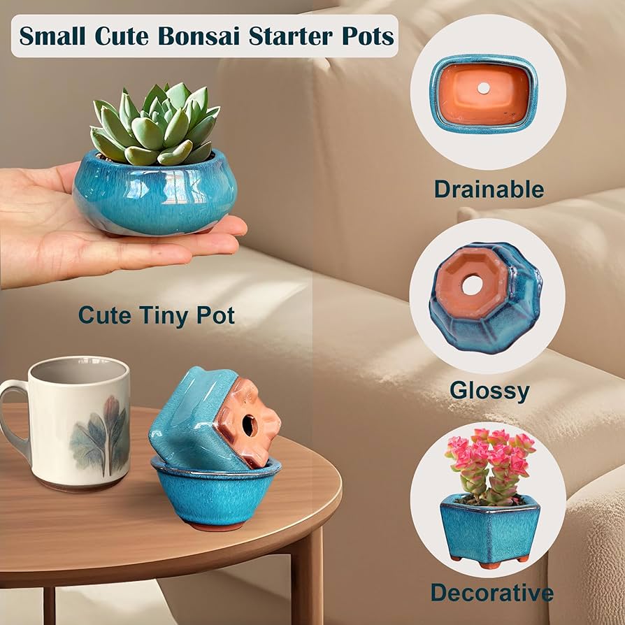 お得！！盆栽鉢10点セット！！ お得！！盆栽鉢10点セット！！ お得なセット鉢 | 盆栽、盆栽書籍、