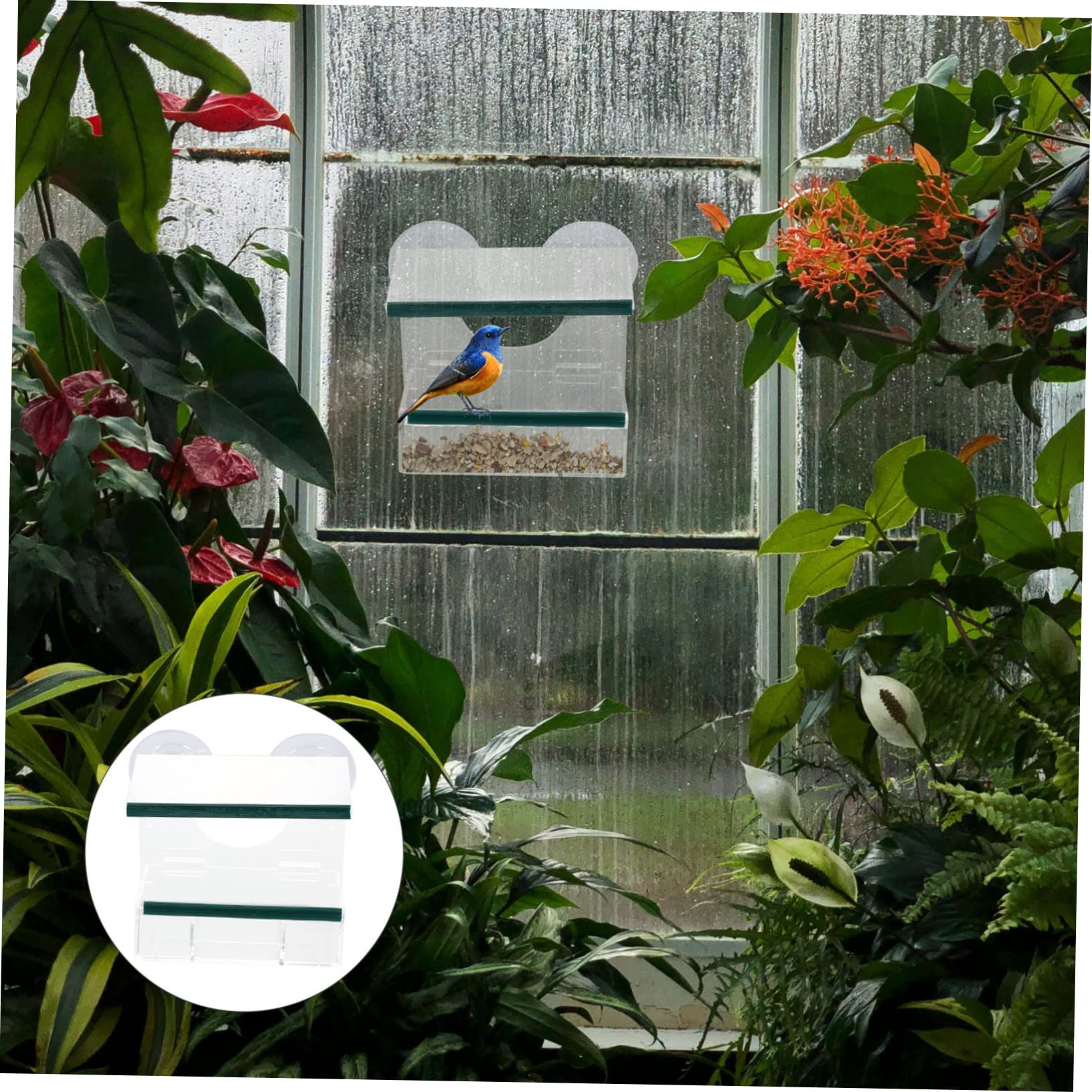 Alimentador de Pájaros Colgante Transparente con Ventosa Estación de Alimentación Resistente para Exteriores Comedero Desmontable para Pequeños Pájaros para Ventanas y Jardín
