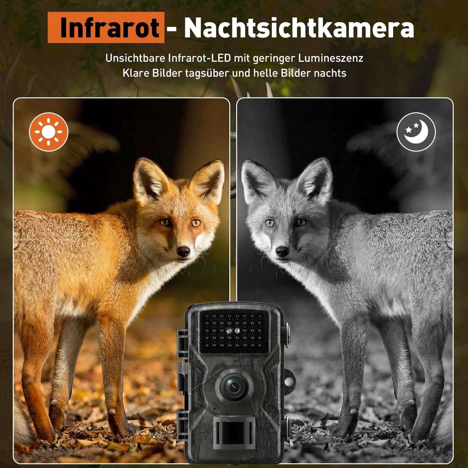 Wildkamera 60MP 4K Video IP66 wasserdicht Nachtsicht Infrarot Tierüberwachung