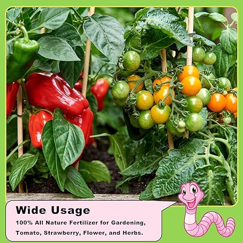 Miniatura 5 de Doter, fertilizante orgánico de 2.2 libras de Worm Castings para jardinería, tomate, fresa, flor y hierbas