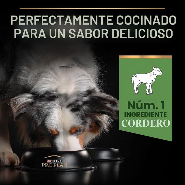 Foto 8 de 8 de Purina Pro Plan Comida Seco para Perro Adulto Mediano con Digestión Sensible con Optidigest, Sabor Cordero