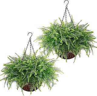 Waipfaru Fake Hanging Fern Plants - 2 Pack