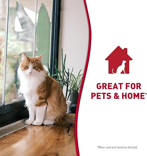 Miniatura 8 de Nature's Miracle Aerosol espumoso removedor de manchas y olores para gatos, 17.5 onzas multi