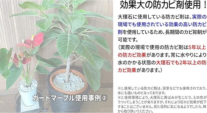 ご予約品 観葉植物 植木鉢用カビ対策 防カビ処理済み化粧石 ガードマーブル450ｇ Dprd Jatimprov Go Id