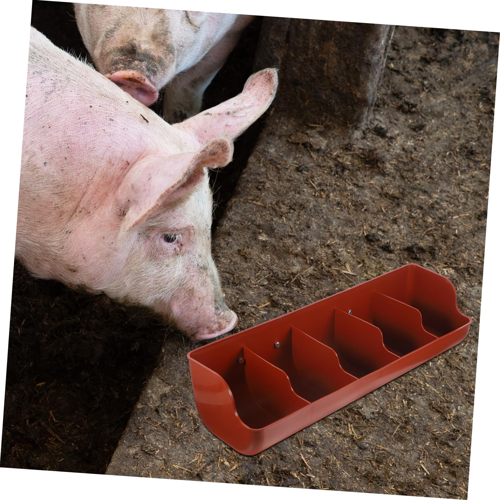 VICASKY Hängende Futterkrippe aus Verdicktem Pp Kunststoff mit 5 Fächern für Schweine und Nutztiere dem Bauernhof Große Kapazität und Hohe Verschleißfestigkeit