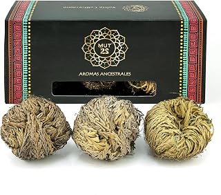3 Rosa de Jericó Mediana 2-3 Pulgadas, Plantas Místicas de Resurrección para Decoración y Meditación