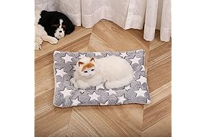 Cozy Calming Cat Blanket: Soothe Your Feline Friends' Anxiety