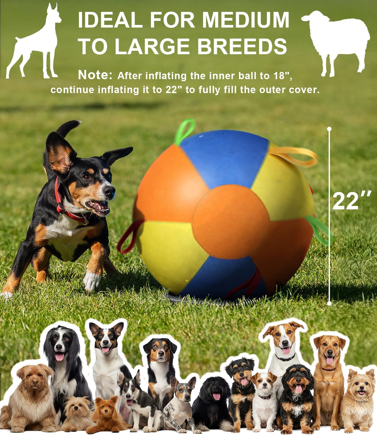 Herding Ball for Dogs, 22in Dog Training Ball with Handle for Outdoor Play, Durable Training Toy Ball for Australian Shepherd, Border Collie, Cattle Dog, Large Breed, Ideal for Herding Dog Exercise