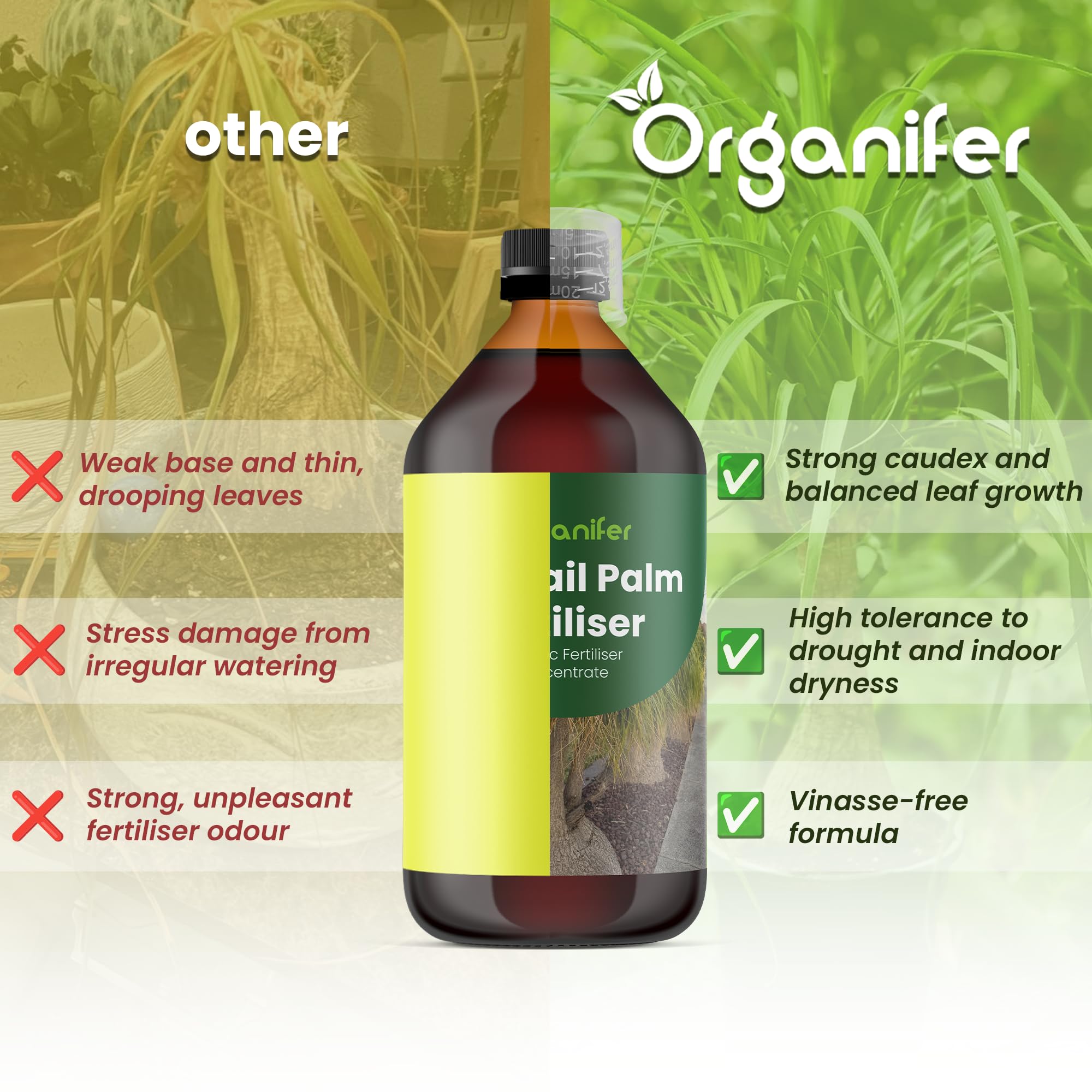 Fertilizante Líquido Orgánico 1L Para Pie De Elefante – Plantas Robusta Y Hojas Lujosas – Organifer