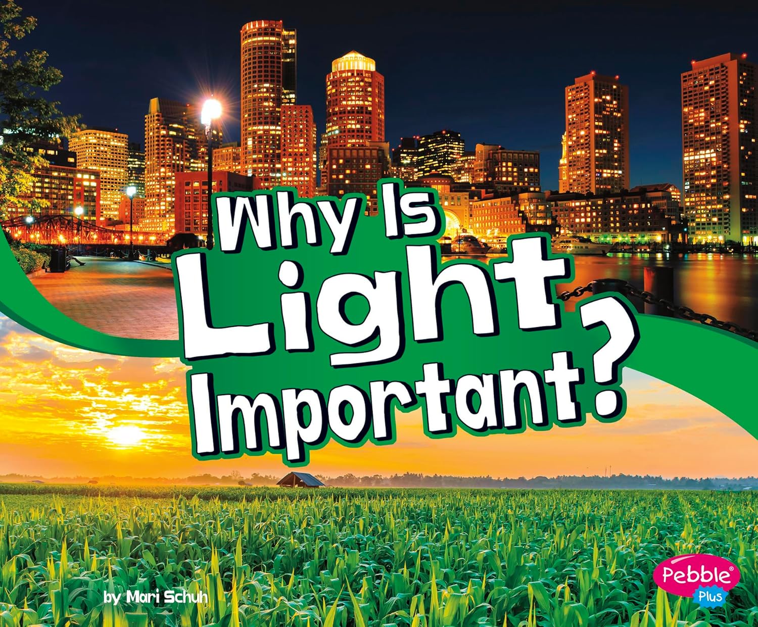 Why Is Light Important? (Let's Look at Light) Schuh, Mari