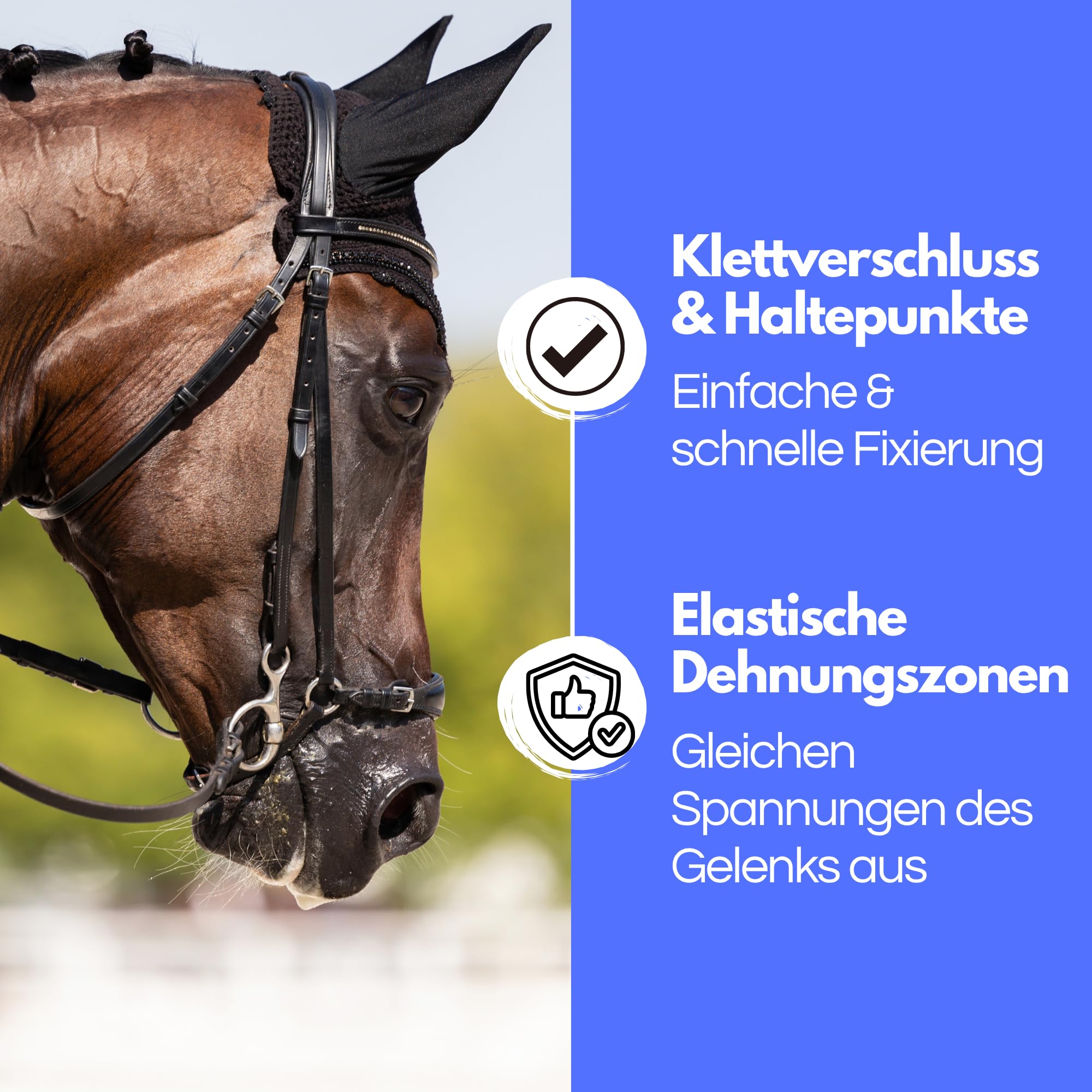 TSM Pferdebandage Vorderfußwurzelgelenk | Reha-Bandage aus Neopren | Schutz & Regeneration bei Arthrose & Entzündungen | Artikelnr 7201 | Made in Germany | Links, Größe S