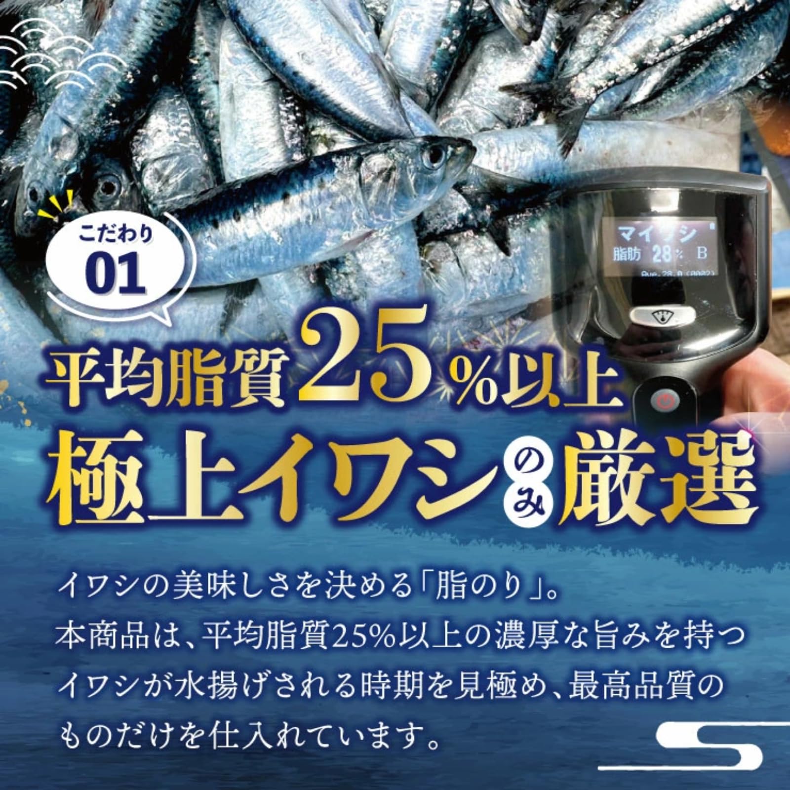 Amazon.co.jp: 越戸商店｜とろける極鮮イワシ 8kg（1匹あたり70g～100g